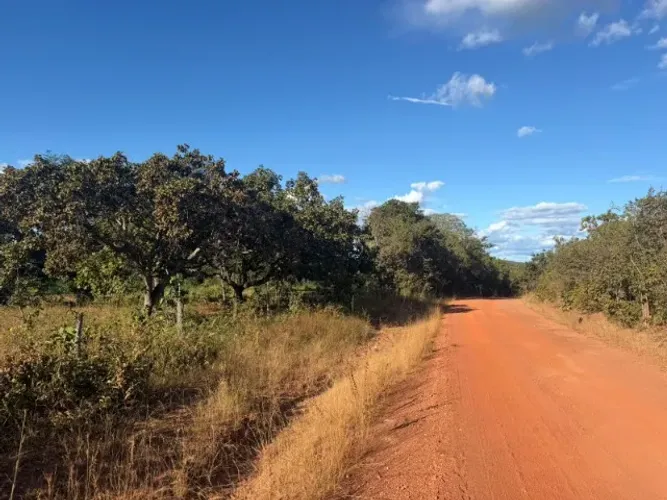 Fazenda Sao Joao - Peixe TO 120 ha