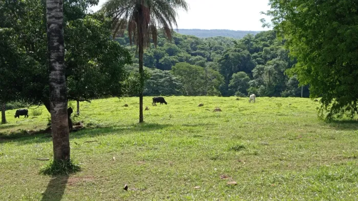 fazenda terra cultura 900 hectares rio casa aceita troca imóvel Brasília