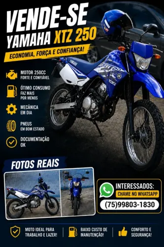 Vendo Lander 250, ano 2009