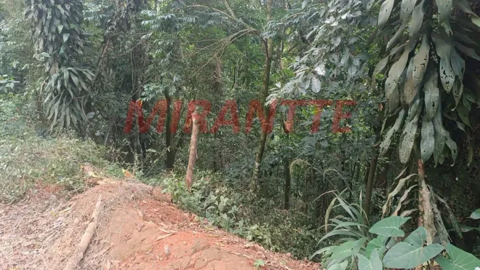 Terreno em Samambaia