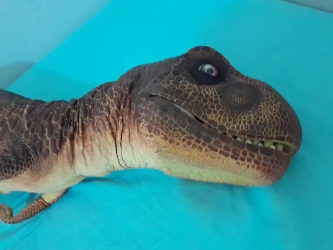 Dinossauro filhote para exibição em eventos.