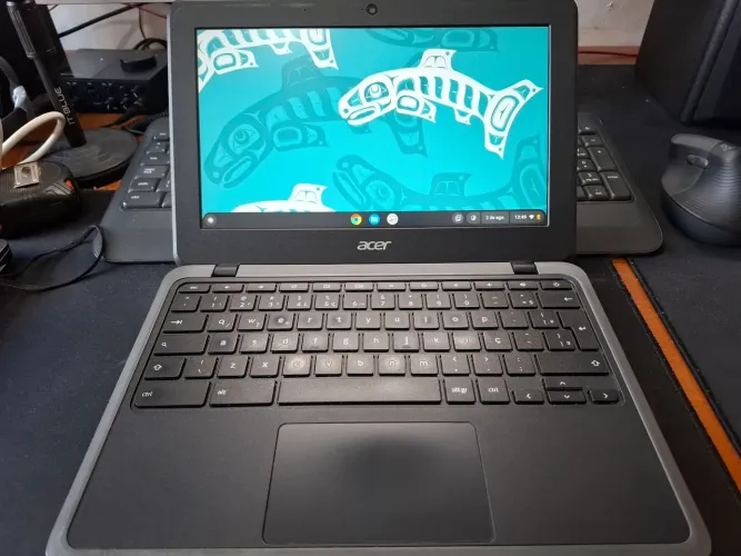 Acer Chromebook C733
