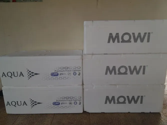 Caixa isopor