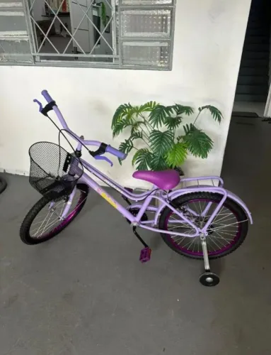 Bicicleta Infantil Aro20