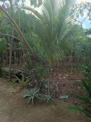 Oportunidade Imperdível: Lote de Esquina Escriturado à Venda!