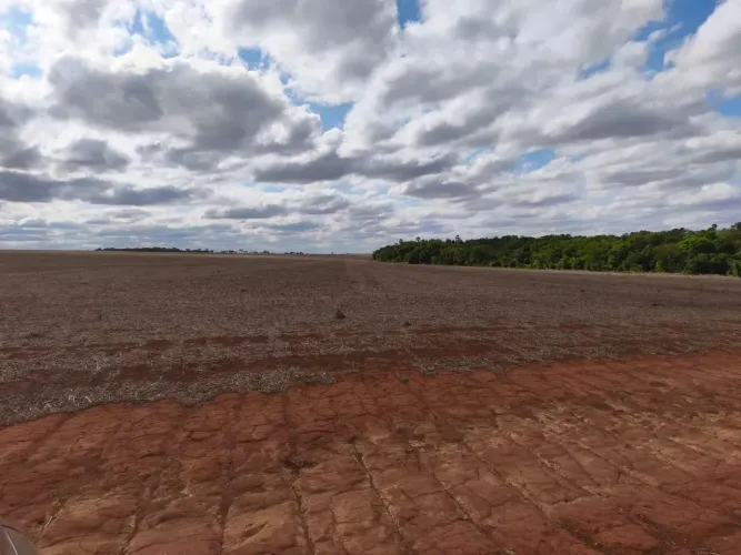 Fazenda a venda em Piracanjuba - Goiás!!!
