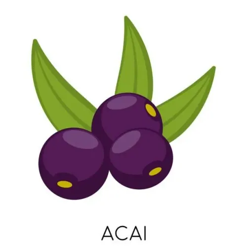 Batedor de açaí disponível 