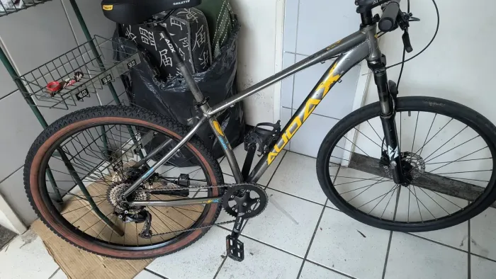 Aro 29 Audax bicicleta mtb