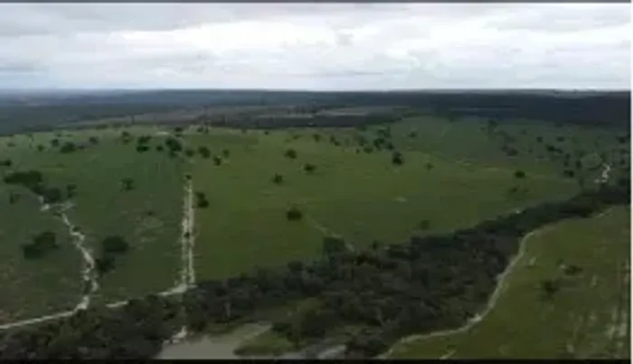 Fazenda á venda  no Maranhão com 2.450 hectares, sendo 1000 hectares em pasto, solo ideal 