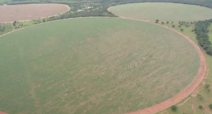Fazenda a venda em Paracatu - MG
