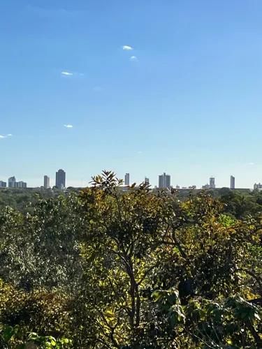 Terreno à Venda no Condomínio de Chácaras Setor Leste Palmas/TO | 1.000 m²