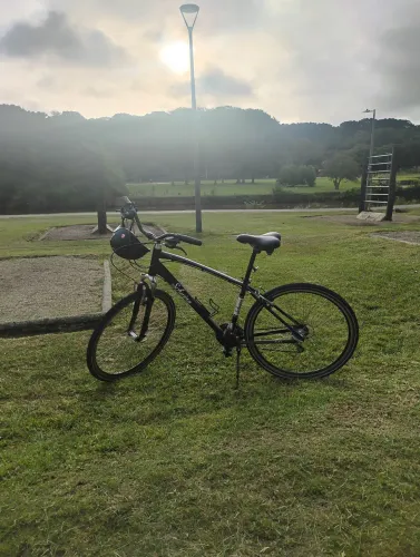 Bicicleta schwinn aro 29
