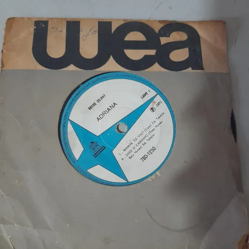 Disco se vinil 
