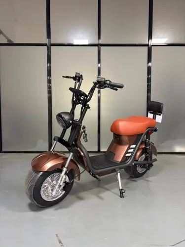 Moto elétrica x13 1000w