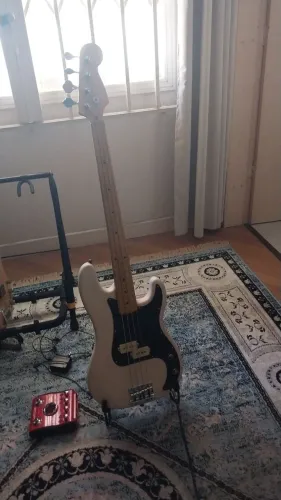 Contrabaixo Fretless Montado
