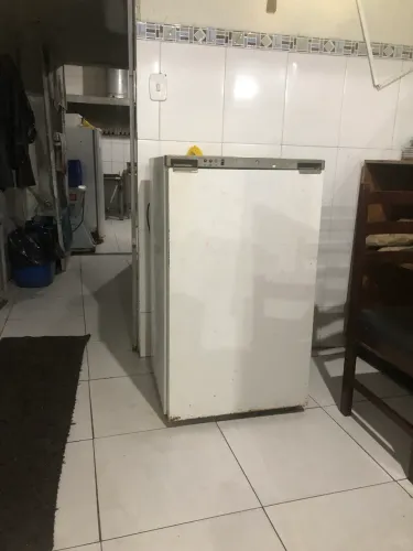 Free freezer vertical