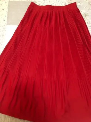 Saia plissada com forro