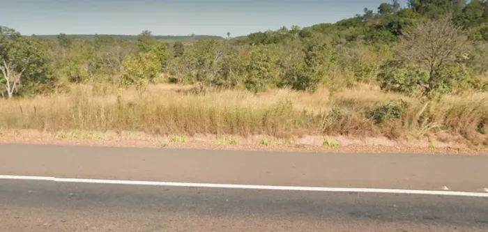 Terreno Br 316 - 36 hectares - 4 km antes de Demerval Lobão (indo de Teresina)