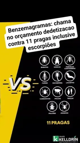 Dedetização contra escorpiões, baratas, aranhas 11 pragas diferentes 