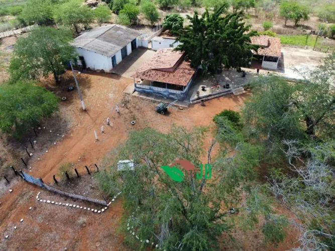 Excelente Fazenda no Cariri altamente produtiva com muita agua p irrigação