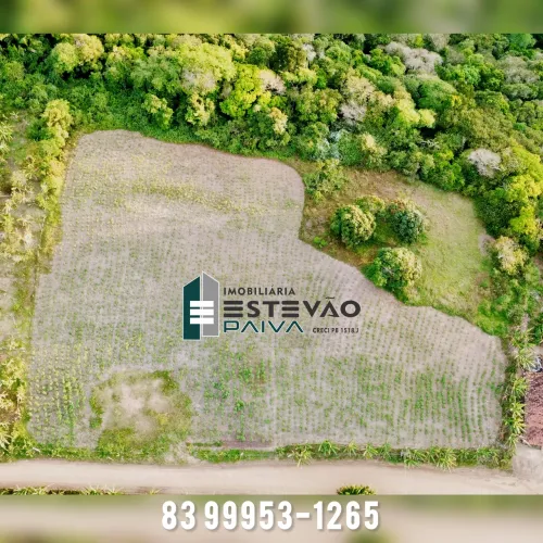 Terreno em bananeiras 09 hectare