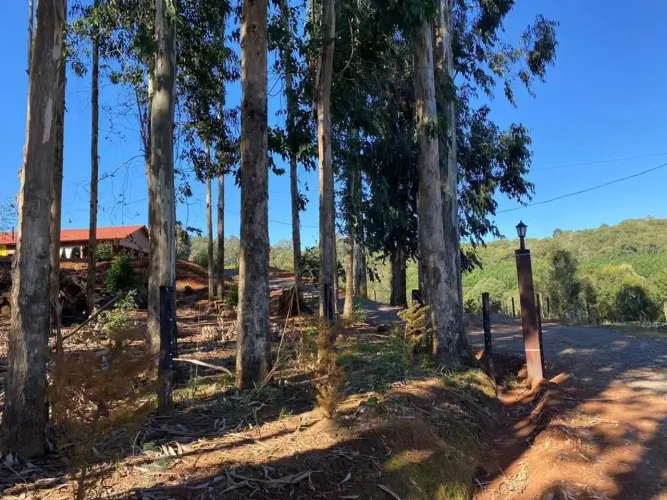 Sitio - Bairro Serra Grande