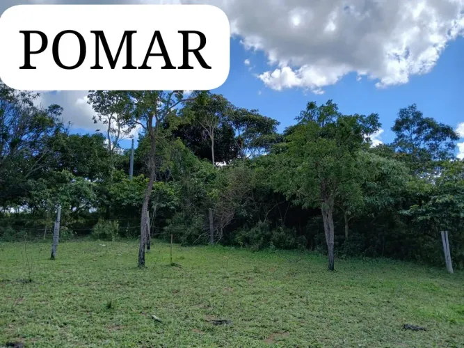 Chácara DF Planaltina Pedra Fundamental