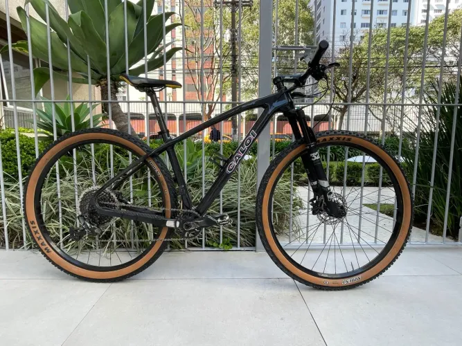 Bicicleta CALOI Elite Carbono