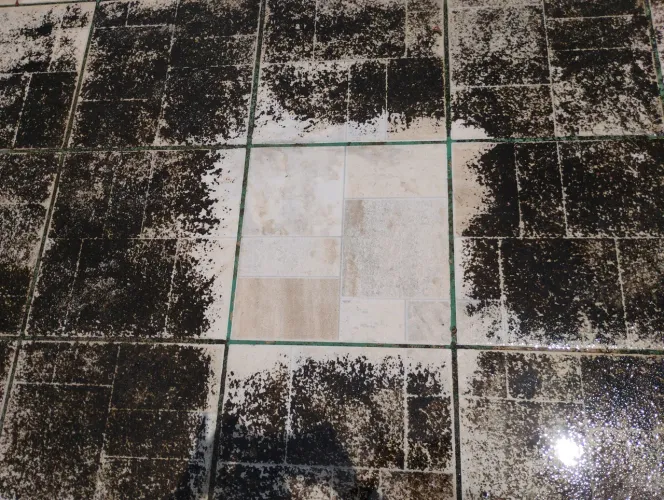 Limpeza e Impermeabilização de pisos e pedras