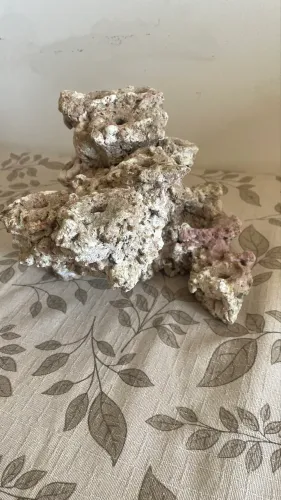 Layout Calvetti Rocks