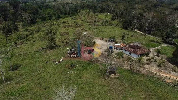 VENDO FAZENDA MISTA CACAU E GADO