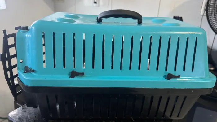 Caixa transporte pet
