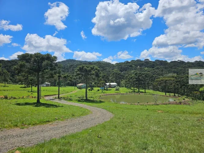 Terreno Rural de 39,5 Hectares em São Joaquim/SC