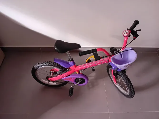 Bicicleta Infantil Lady Nathor