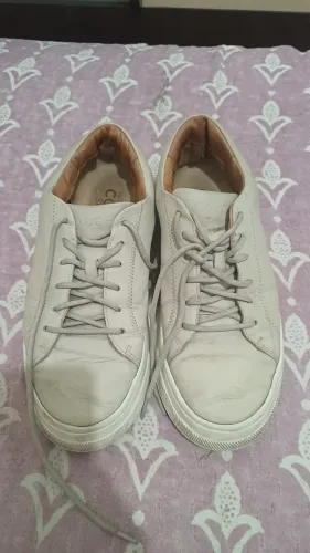 Sapato