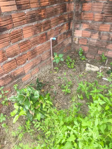 Terreno no Parque Jair