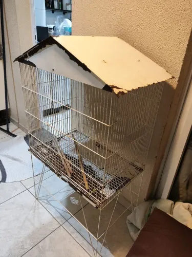 Gaiola/viveiro para calopsitas e outras aves