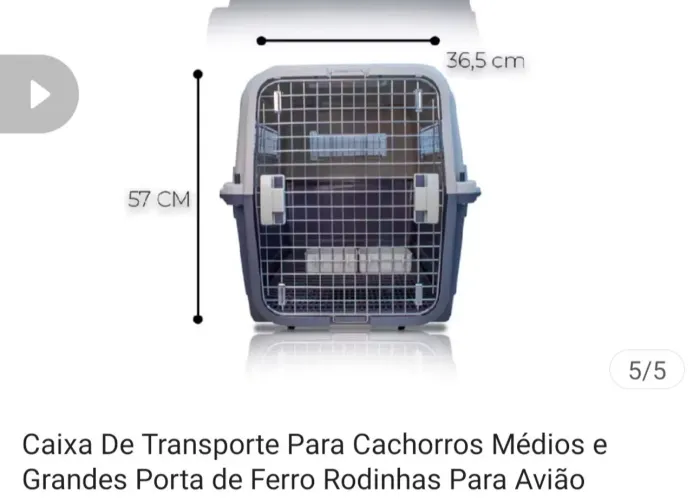Caixa de transporte para cães de médio a grande porte