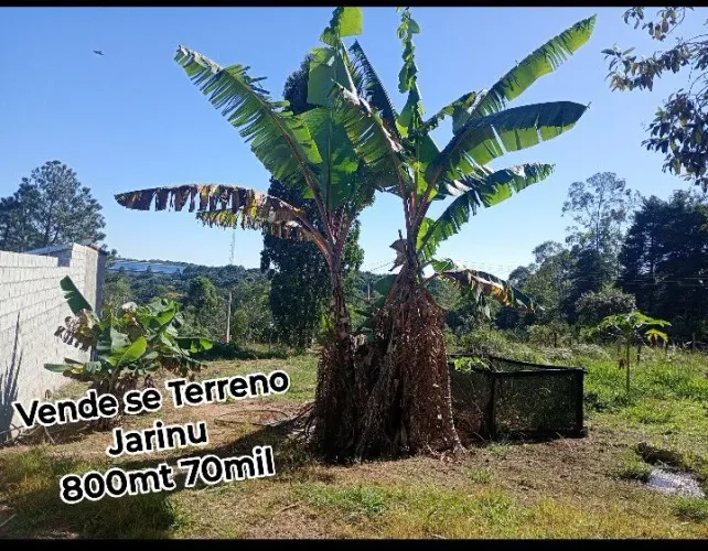 Jarinu Próximo condomínio cambarah