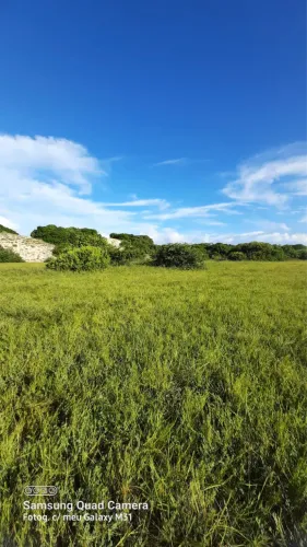 Terreno localizado na praia do saco Estância sergipe 