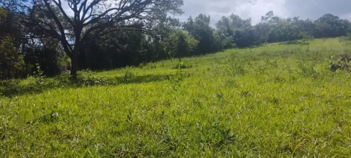 Terreno em Itaguara  MG  20 Mil Metros com luz e agua de poço artesiano Linda vista aceito