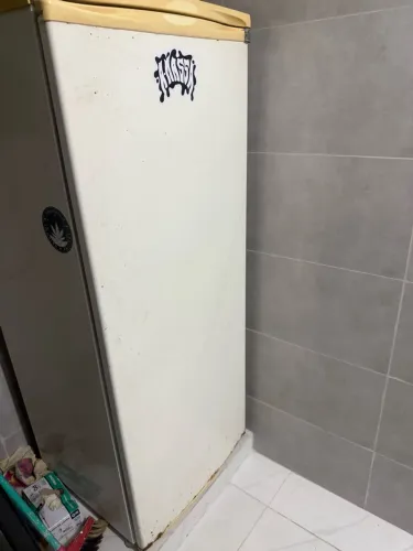 Geladeira em bom estado , 110v