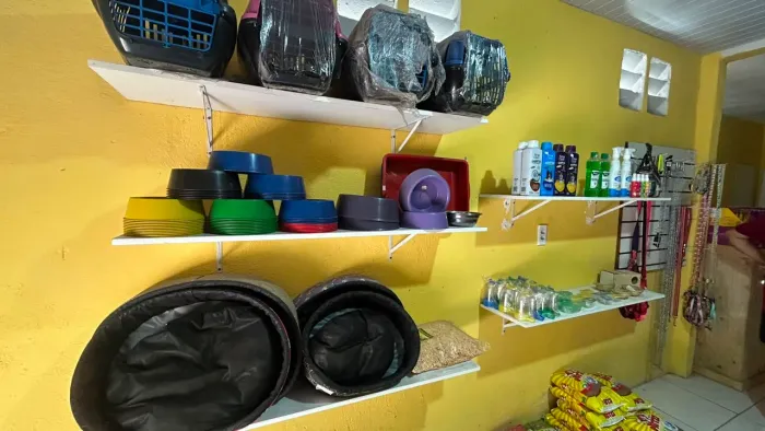 Acessórios para pets