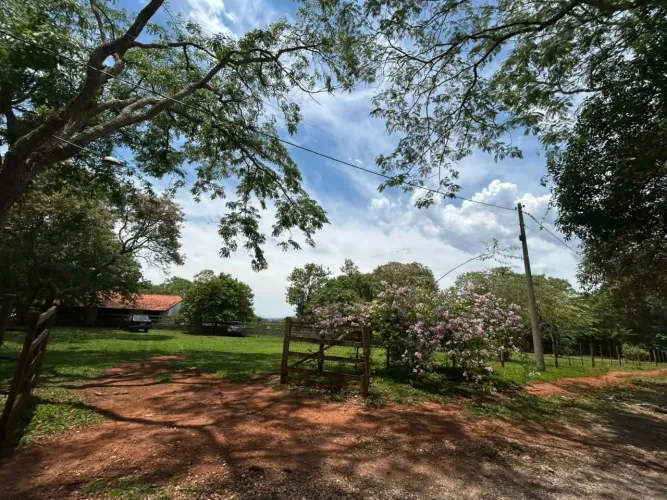 Vende sítio  em Itapetininga ou troca casa em São Paulo.   