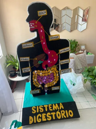 Maquete corpo humano com led