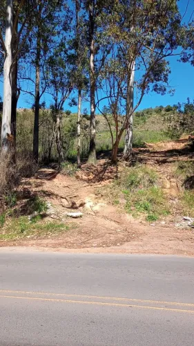 Terreno à venda Campo Novo Porto Alegre/RS
