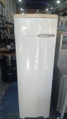 Freezer vertical
