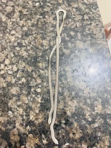 Corrente de prata feminina