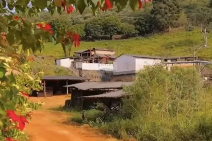 Fazenda Morro Grande - 215 hectares com café ,agua abundante e potencial turístico em Casa