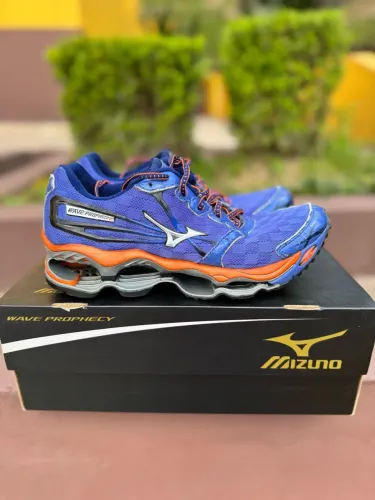 Mizuno wave prophecy 2